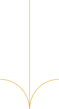 Premier Hospitality Experience SEEK