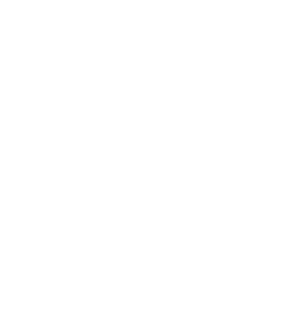Annual Naples Cardiovascular Summit
