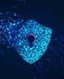 Auditing the Cybersecurity Program Certificate