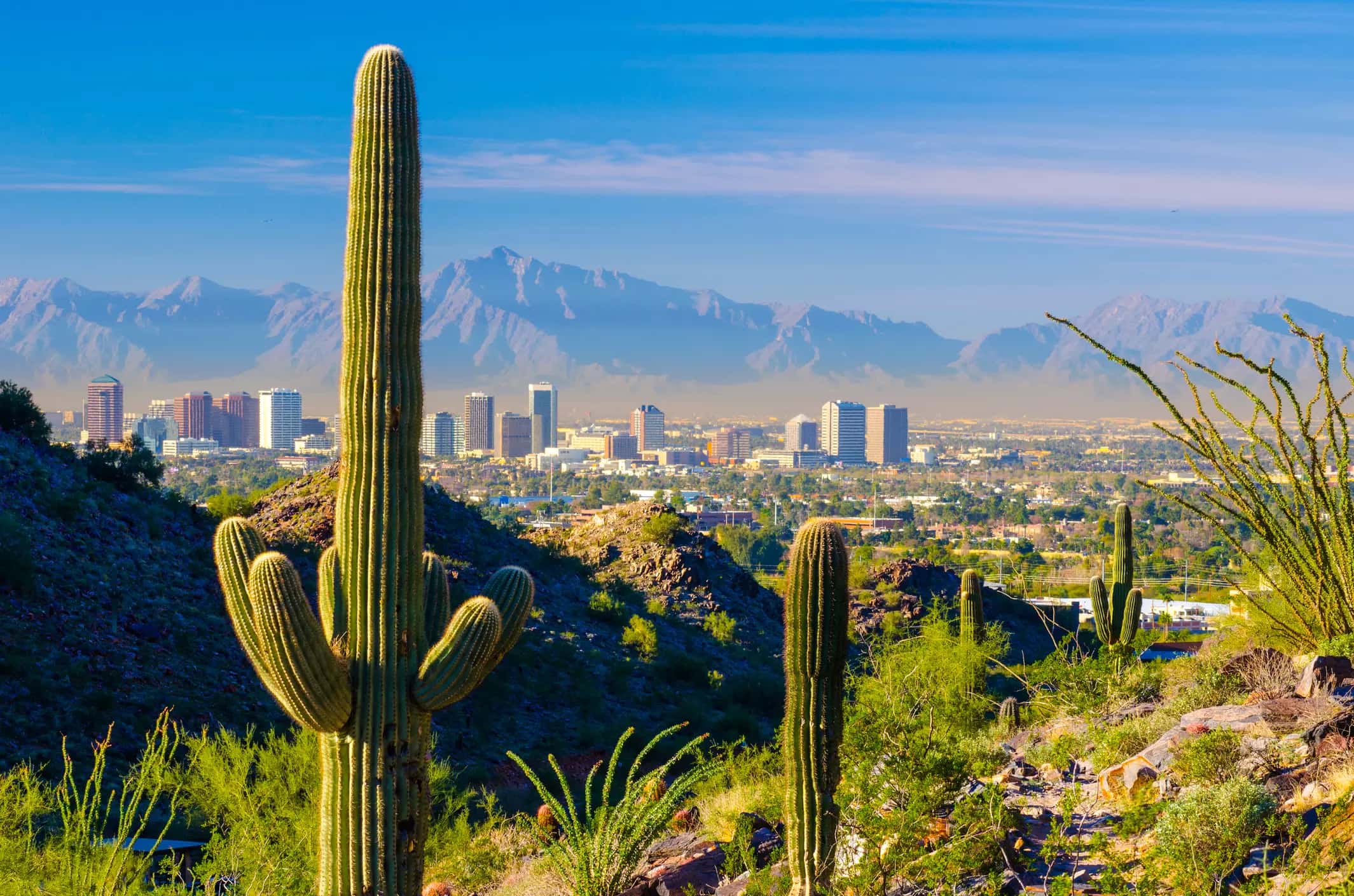 Effective Negotiating Phoenix
