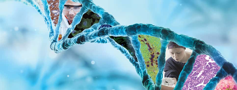 Translational Cancer Research for Basic Scientists Workshop