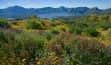 New Mexico Water Law