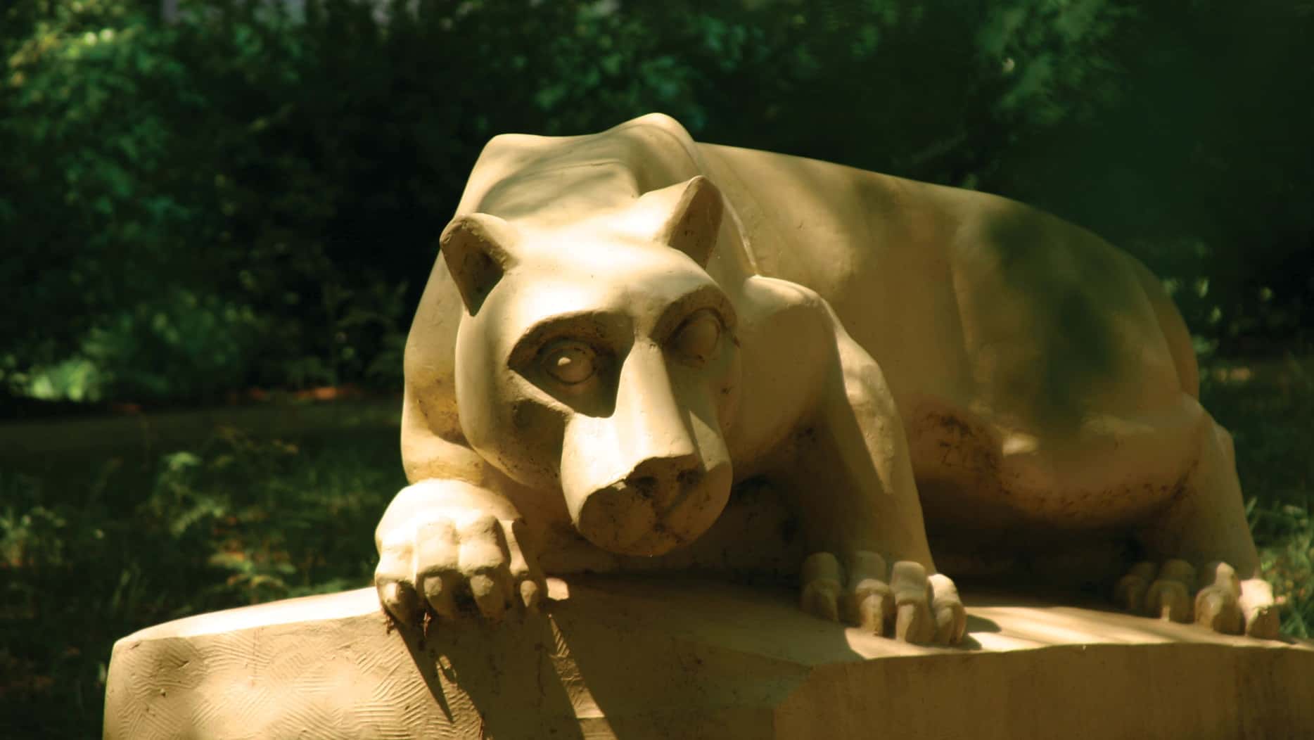 Penn State Health Metabolic Dysfunction-Associated Steatohepatitis (MASH) Day