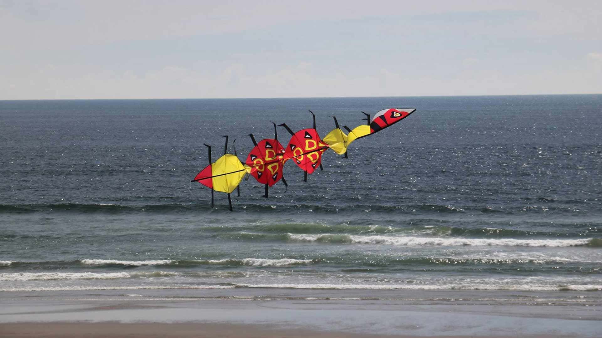 Fort Worden Kitemakers Conference