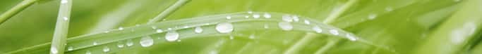 3 Rivers Wet Weather Sewer Conference