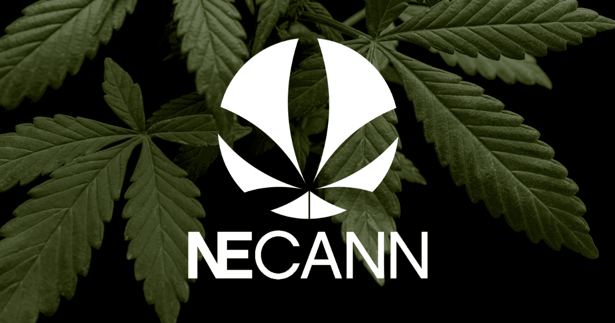New England Cannabis Convention