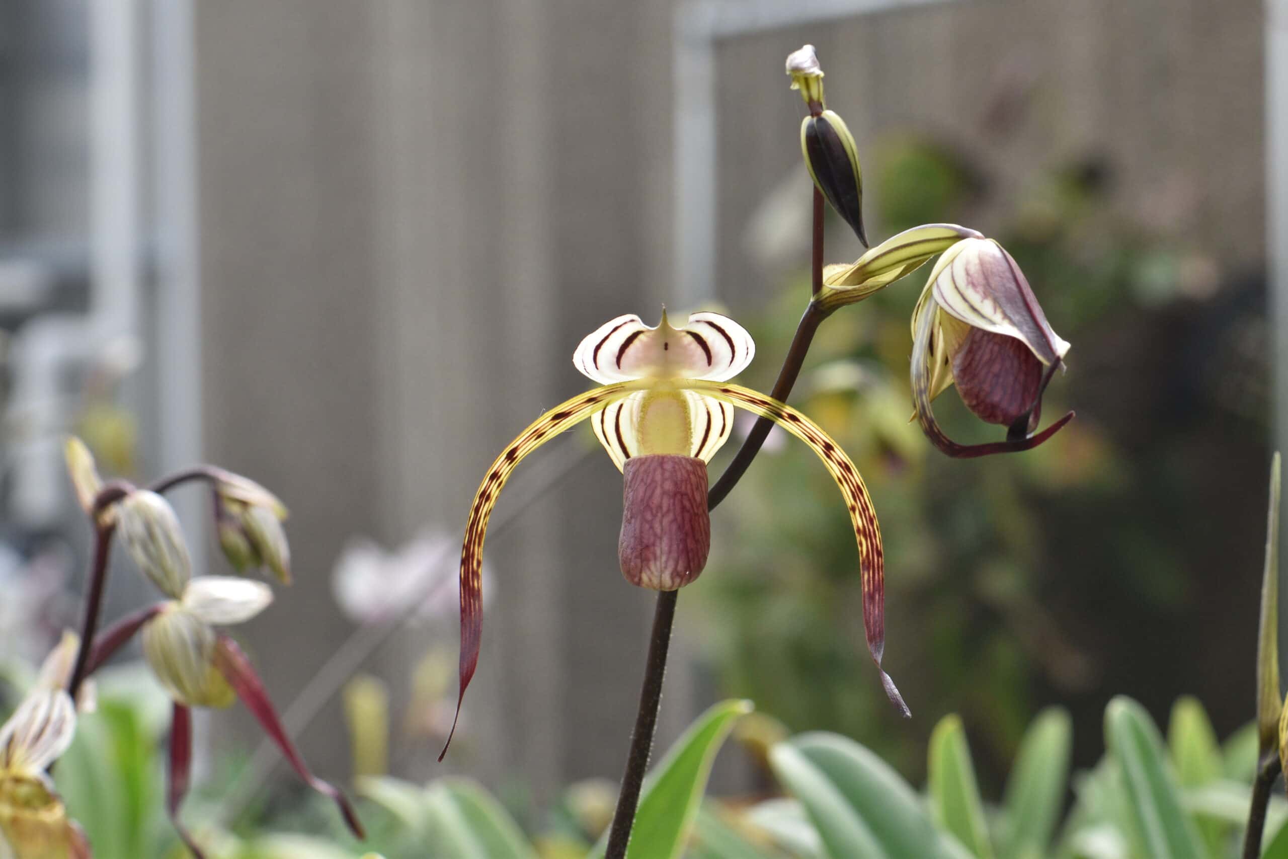 Global Botanic Gardens Congress