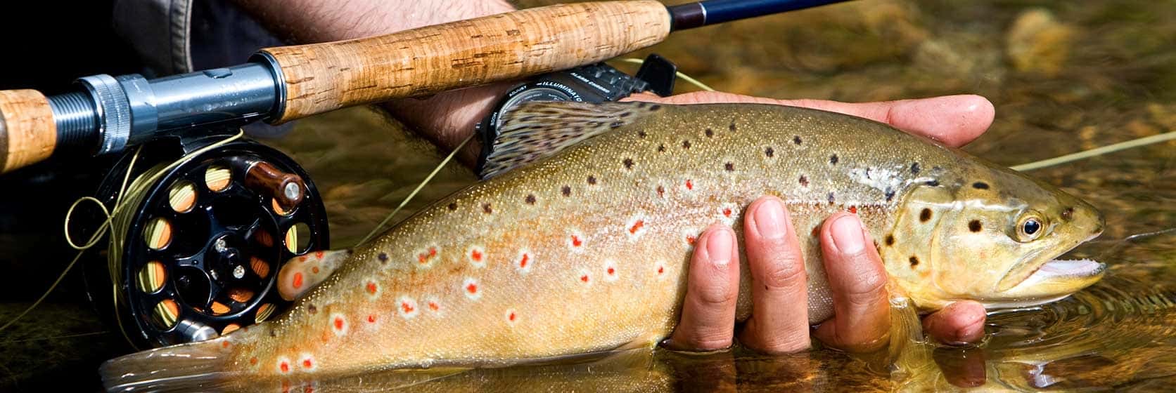Houston Fishing Show