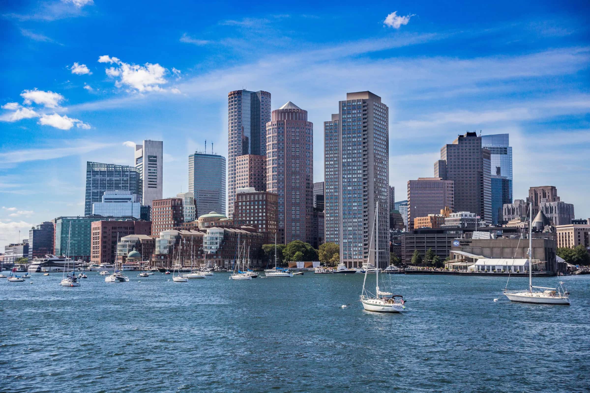 Innovation Mission Organ-on-Chip and Organoids to Boston and Washington D.C