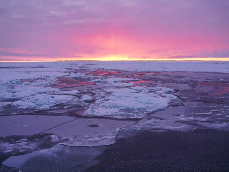 Polar Marine Science