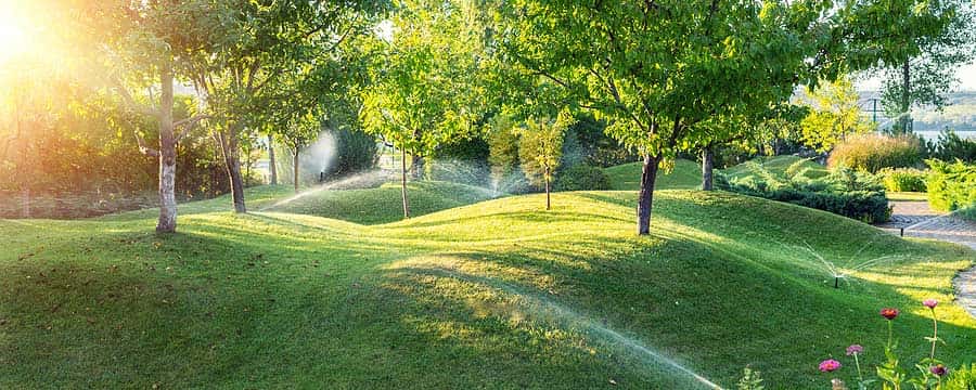 Annual Winter Lawn Care Conference