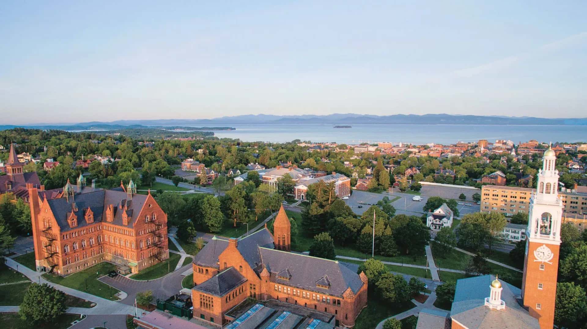 Champ's Sono Camp: Multidisciplinary POCUS Conference